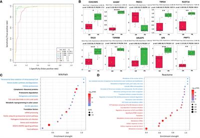 Proteomic and metabolomic signatures of rectal tumor discriminate patients with different responses to preoperative radiotherapy